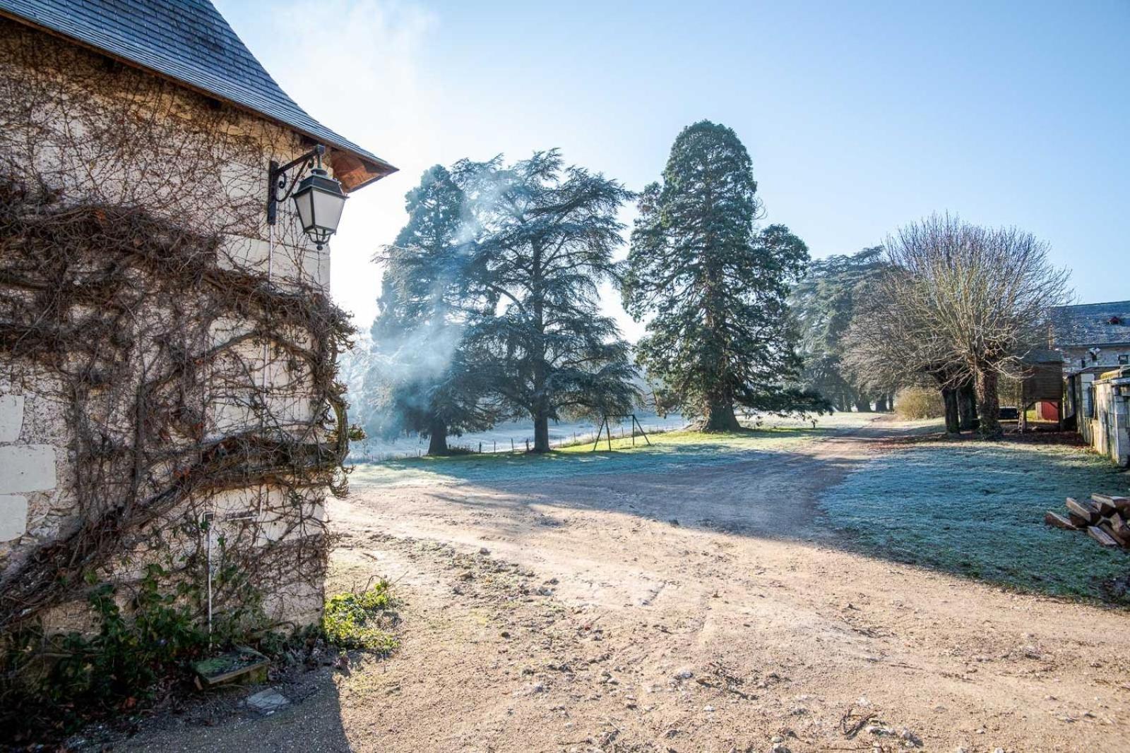 16Th Century Hunting Lodge - Chateau De Nitray 谢尔河畔阿瑟 外观 照片